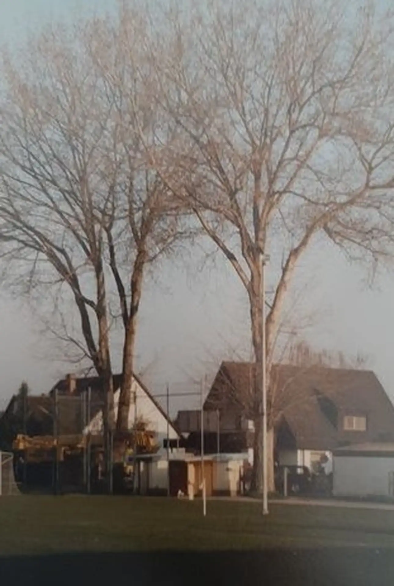 Eingang noch mit Baum