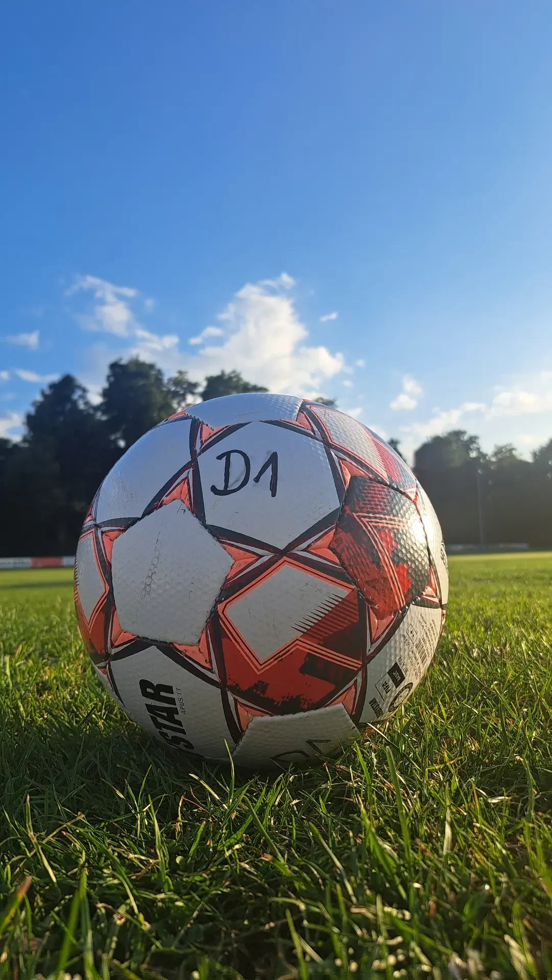 spvgg-baerenkeller-fussball-d1-jugend-portrait